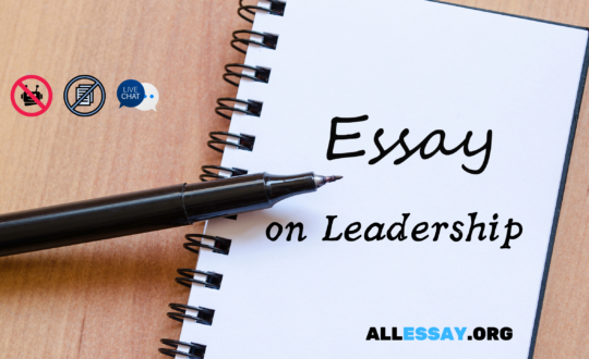 Essay on leadership