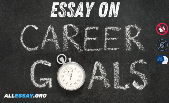essay on career goals