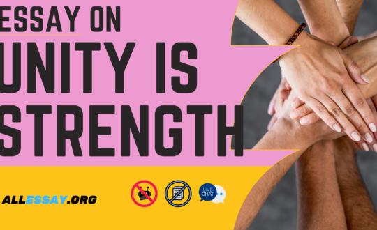 Essay on Unity is Strength