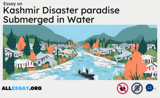 Essay on Kashmir Disaster paradise Submerged in Water